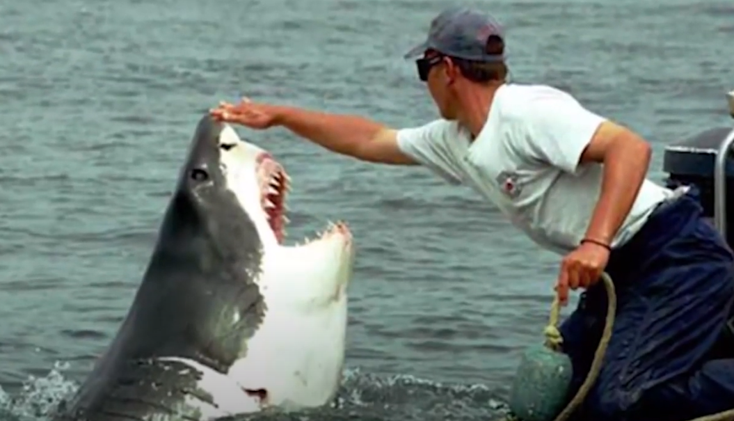 Синди и Арнольд