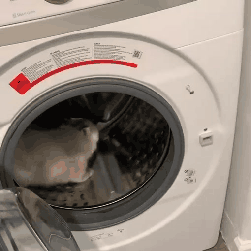 Жми на картинку, чтобы посмотреть видео. Источник: Одноклассники