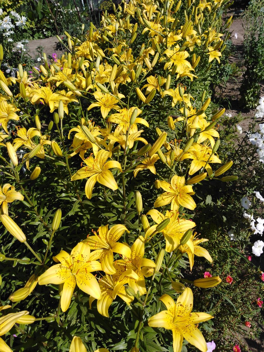  Фото из архива автора канала.