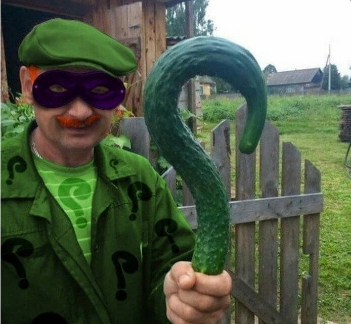 Наши вопросы зреют также как и огурцы.