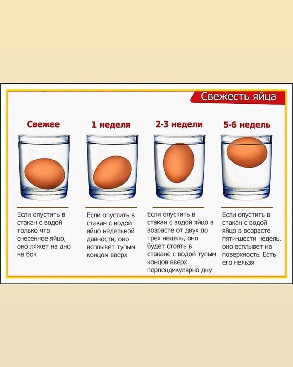 Сколько держать яйцо в воде. Свежесть яиц. Определить свежесть яиц. Проверка яиц на свежесть. Стадии свежести яйца.