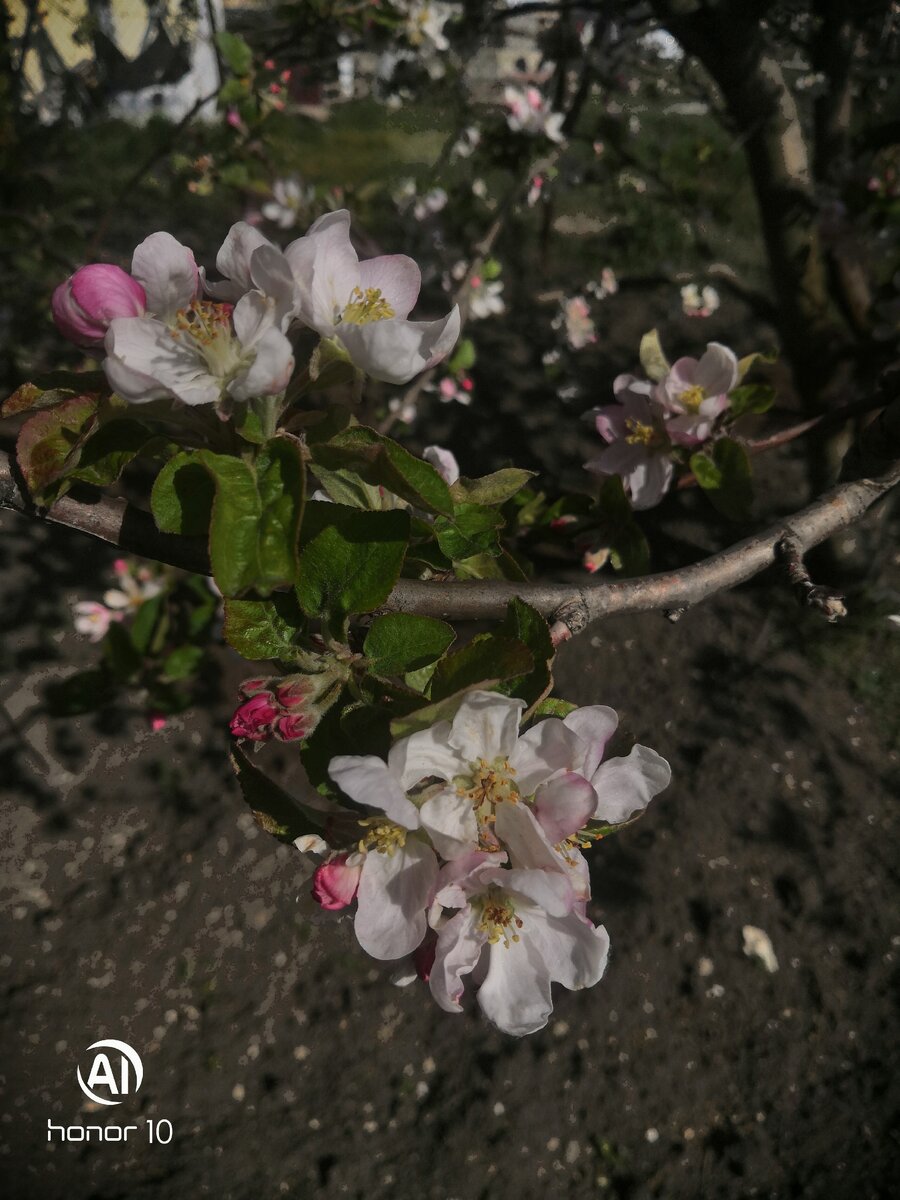 Природа самый лучший художник все