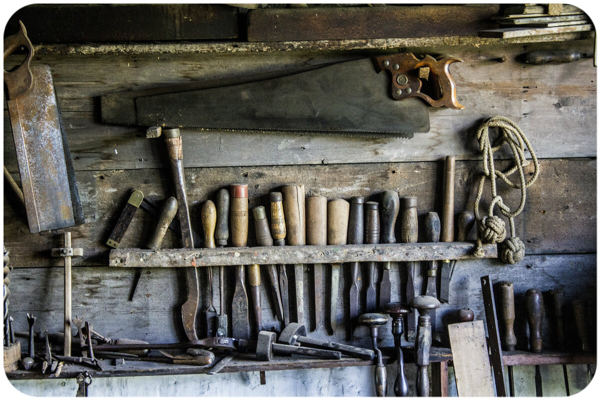 Изображение Free-Photos с сайта Pixabay.