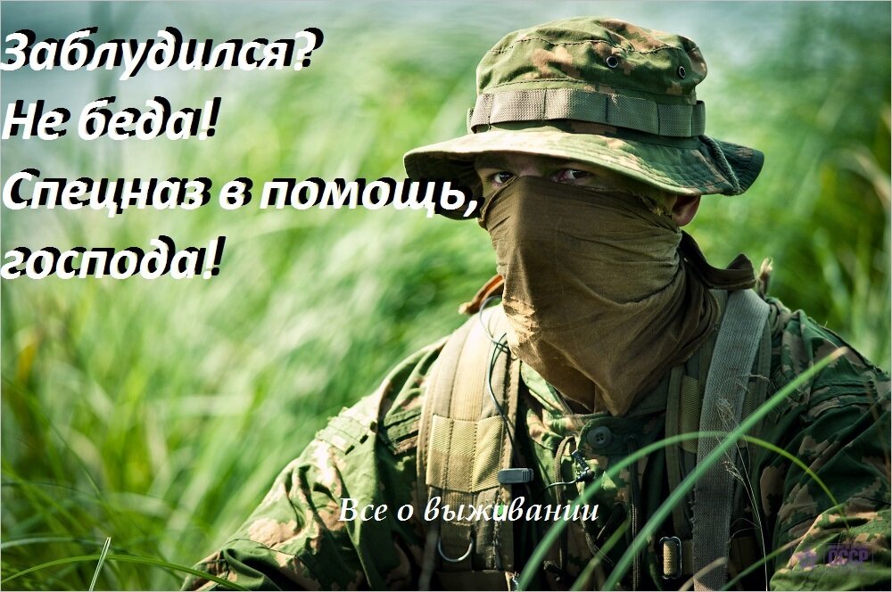 фото из интернета