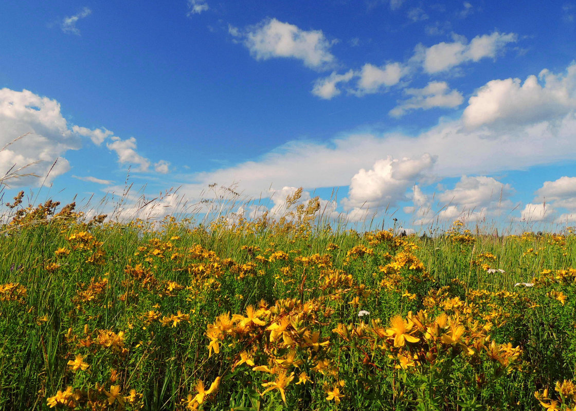 Фото Павловой Татьяны