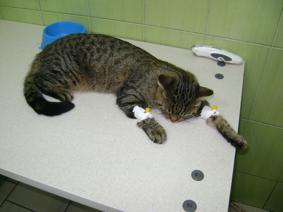 15.08.2019 г. Саня под седацией перед риноскопией. (Фото из личного архива автора).