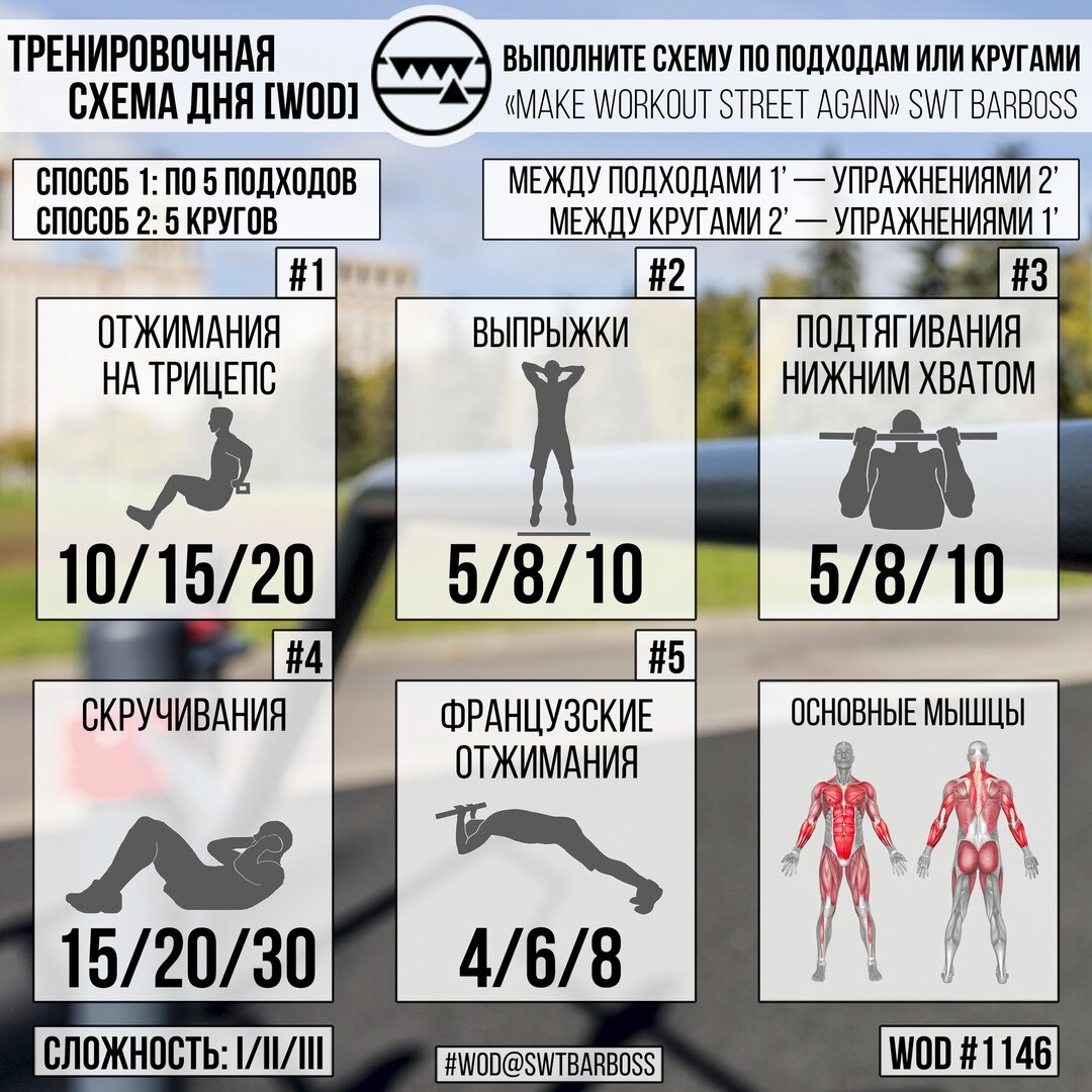 Программа тренировки без железа. Тренировка без железа. Тренировочная зона схемы тренировок. Street Workout воркаут команда BARBOSS. Базовые упражнения без железа.