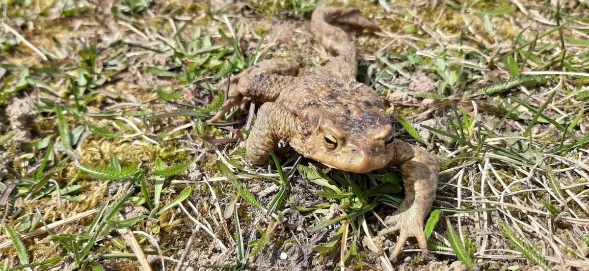 Фото: Мосприроды.