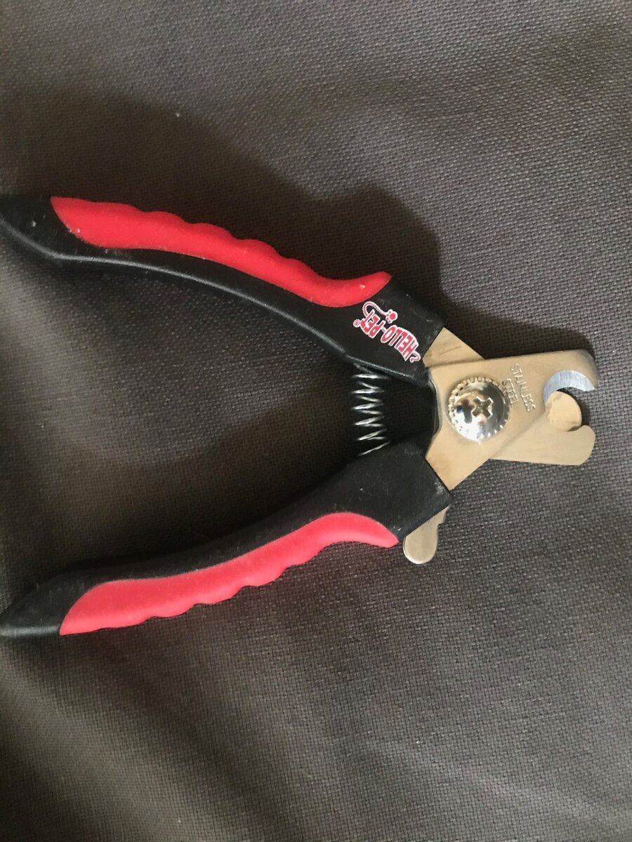 Когтерезка для взрослых йорков