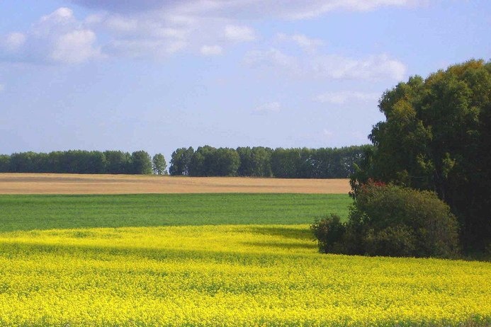 Красиво в степи.