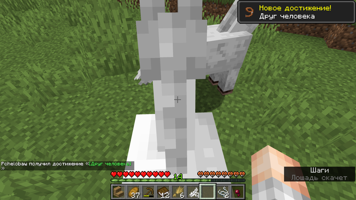 Я верхом на лошади