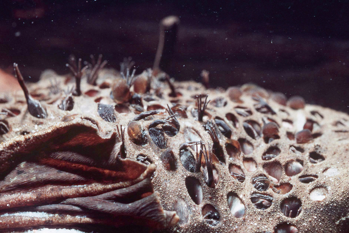 Фото https://yandex.ru