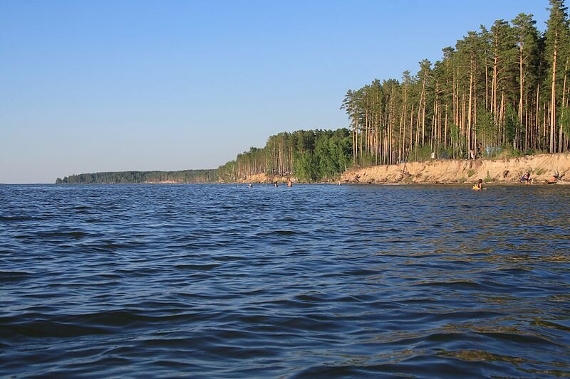 Караканский бор новосибирск фото