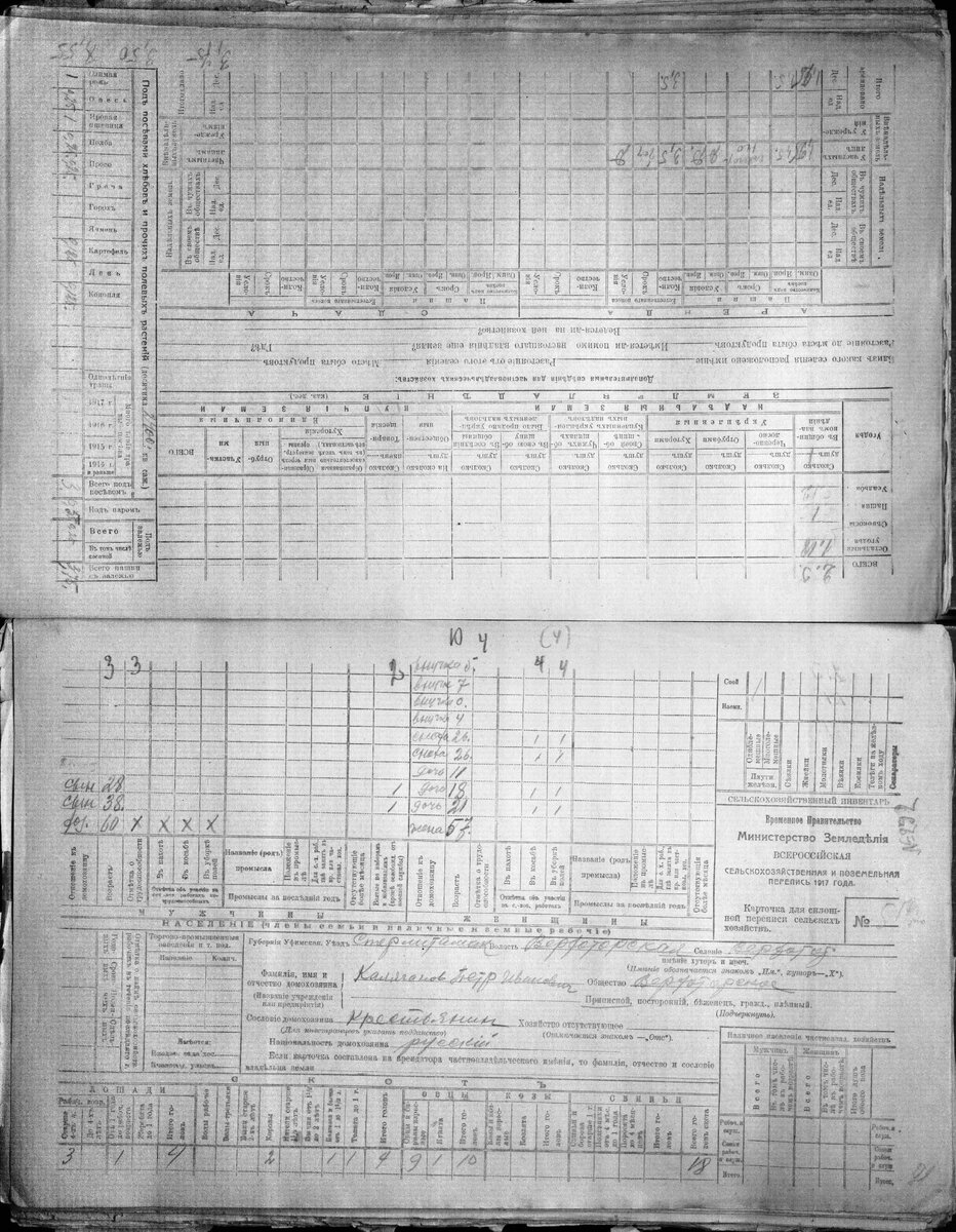 Сельскохозяйственная перепись 1917