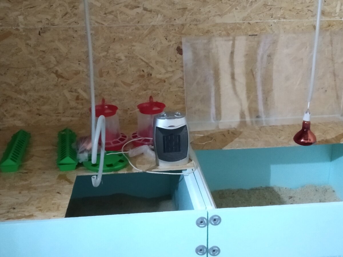 Купили поилки и кормушки