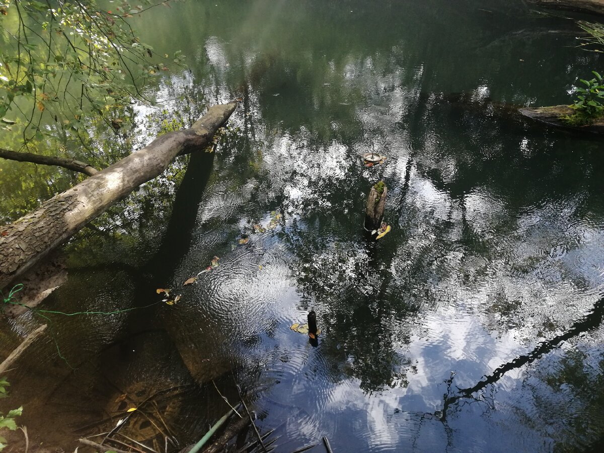 Вот она, не пойманная щука...