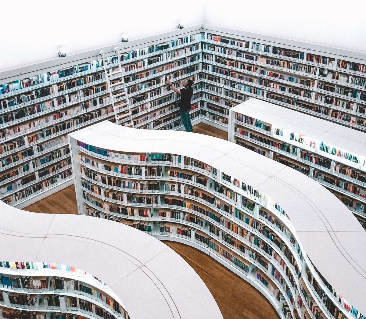 Так много вариантов, так мало времени…   Фото Fahrul Azmi с сайта Unsplash