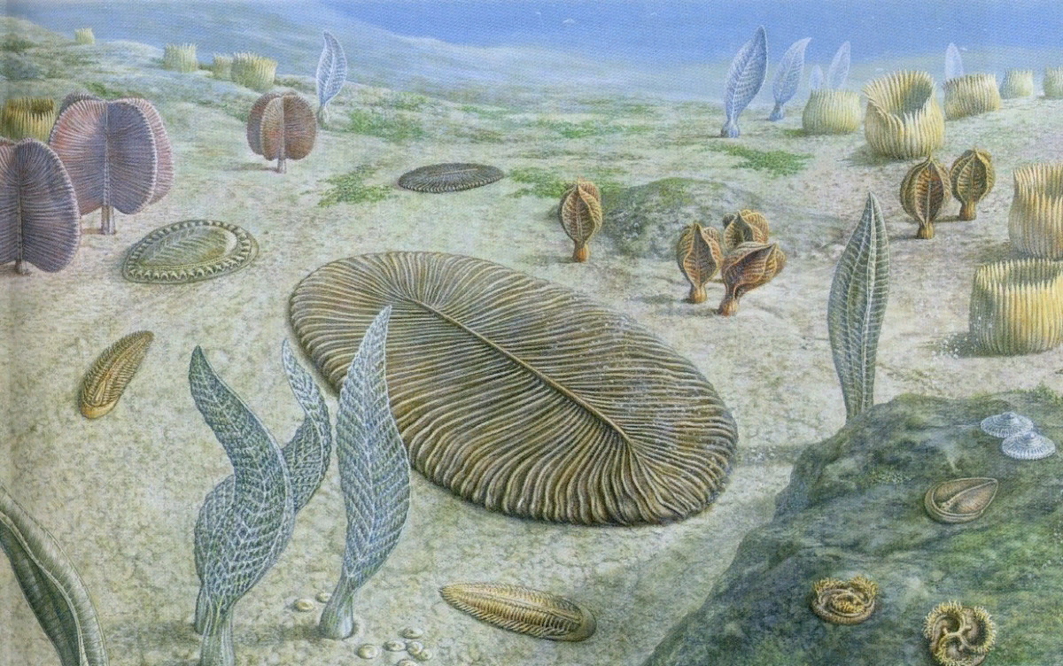 Источник:Яндекс.Картинки 