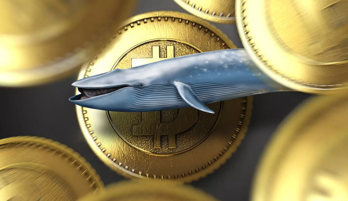Крупные криптоинвесторы, которых часто называют “китами”, приобретавшие BTC выше $17 000, не заинтересованы в падении криптовалюты.