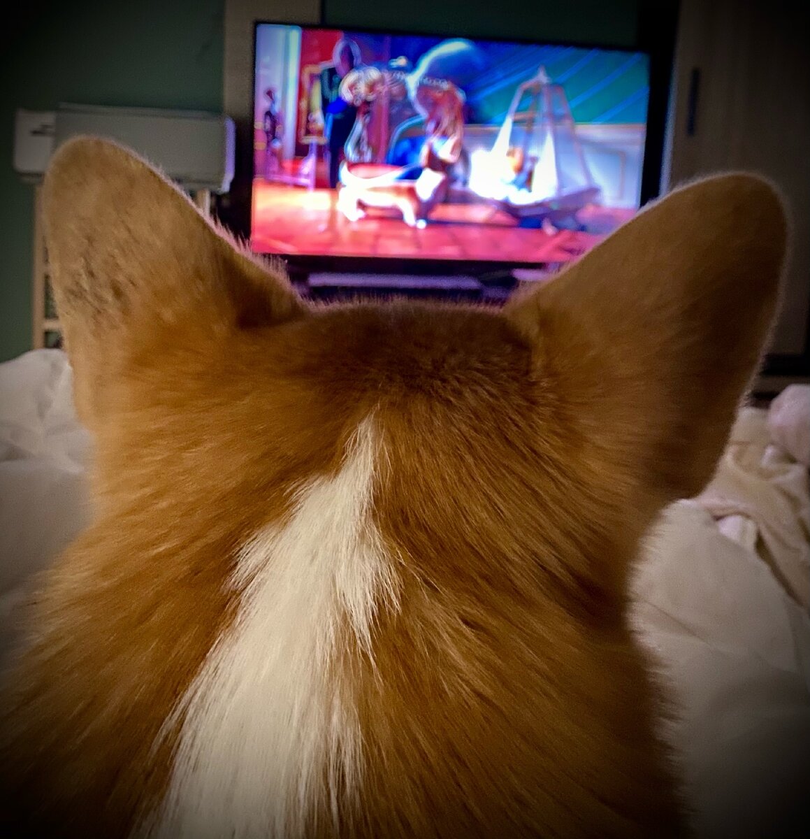 За просмотром мультика