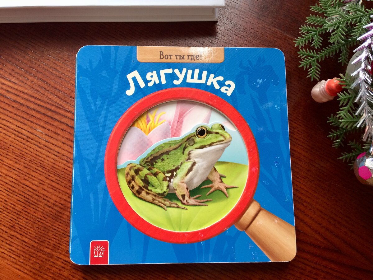 Книжка-картонка «Лягушка», фото автора. 