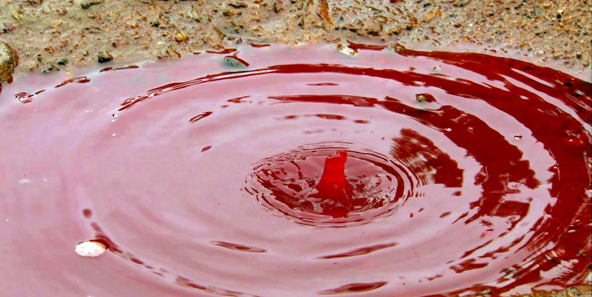 Керала Индия красный дождь. Кровавый дождь в Индии 2001. В воду идет красным