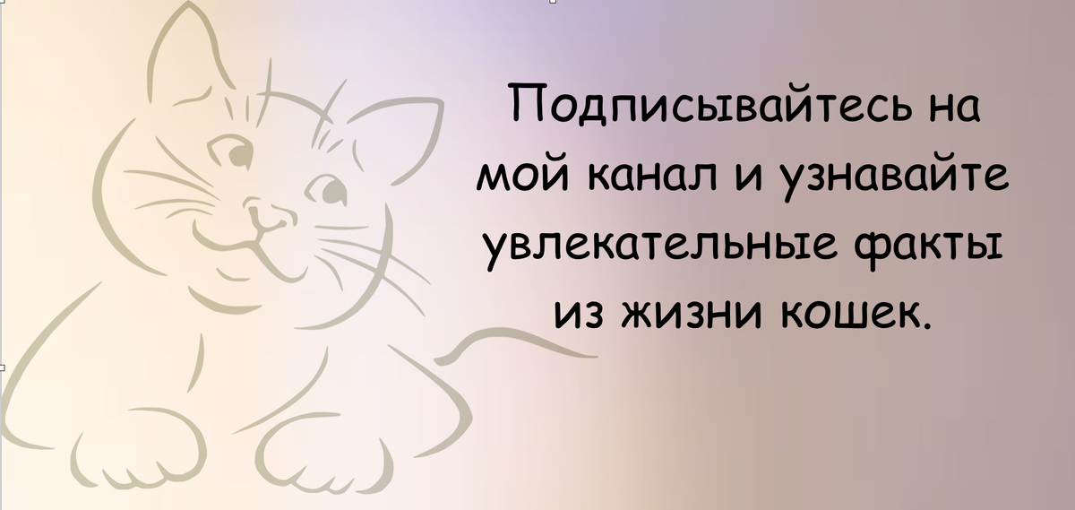 Котов много не бывает