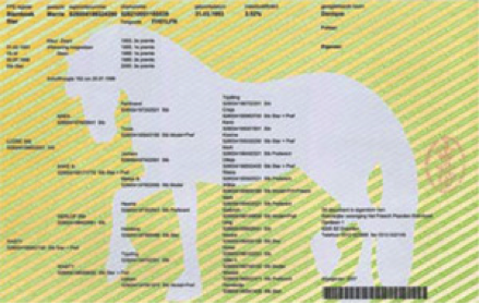 Регистрационный сертификат .