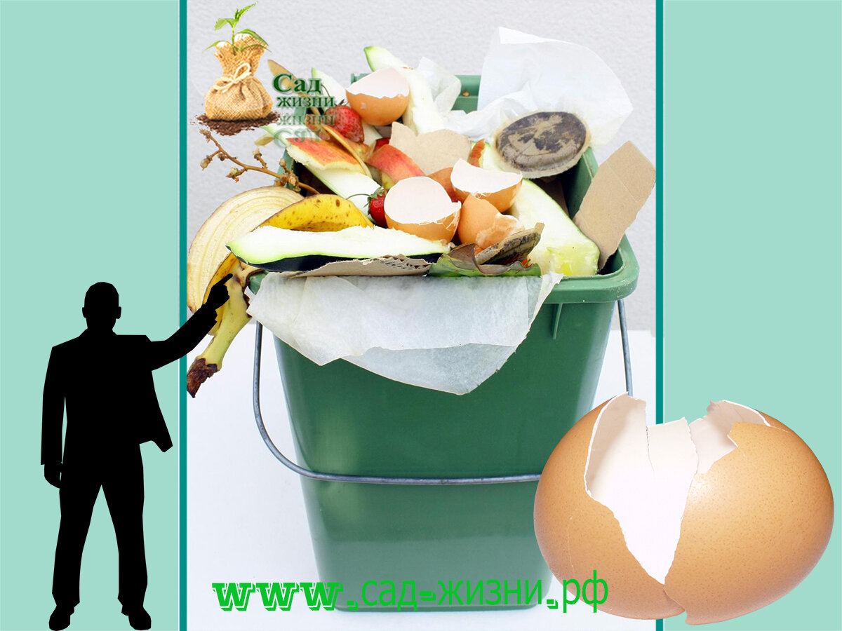 Скорлупу лучше выбросить, вам не хватит объема, который вы можете собрать в домашних условиях, чтобы получить требуемое количество карбоната кальция 