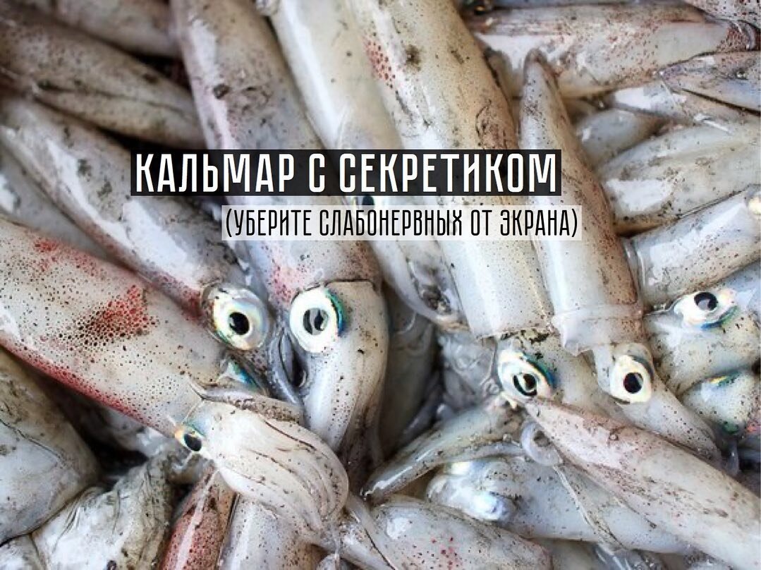 Кальмар с секретиком | Клуб любителей рыбы. Fishmart | Дзен