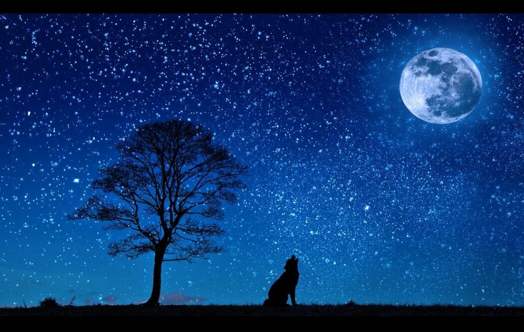 скриншот- мой