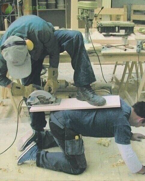 Фото взято в поисковой системе Яндекс