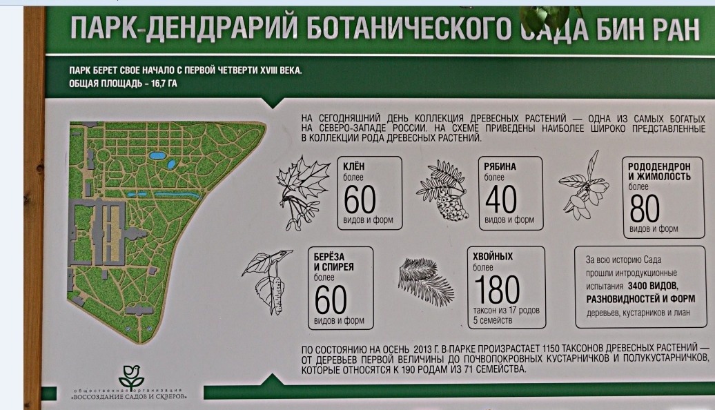 схема парка-дендрария