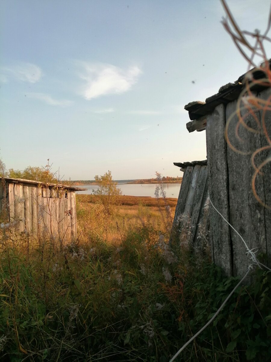 Что напрягает меня в жизни в деревне?