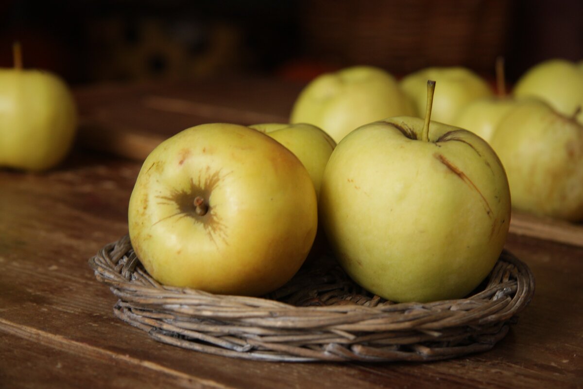 В музее пастилы