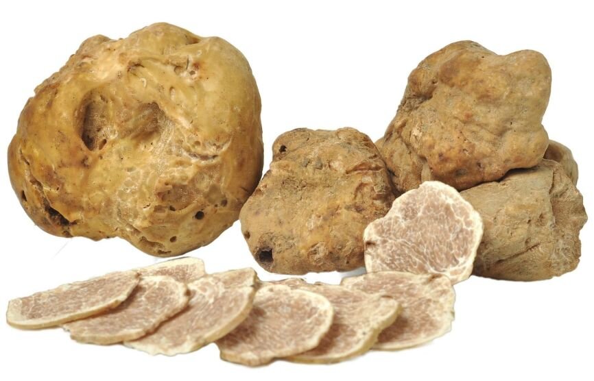 Белые трюфели