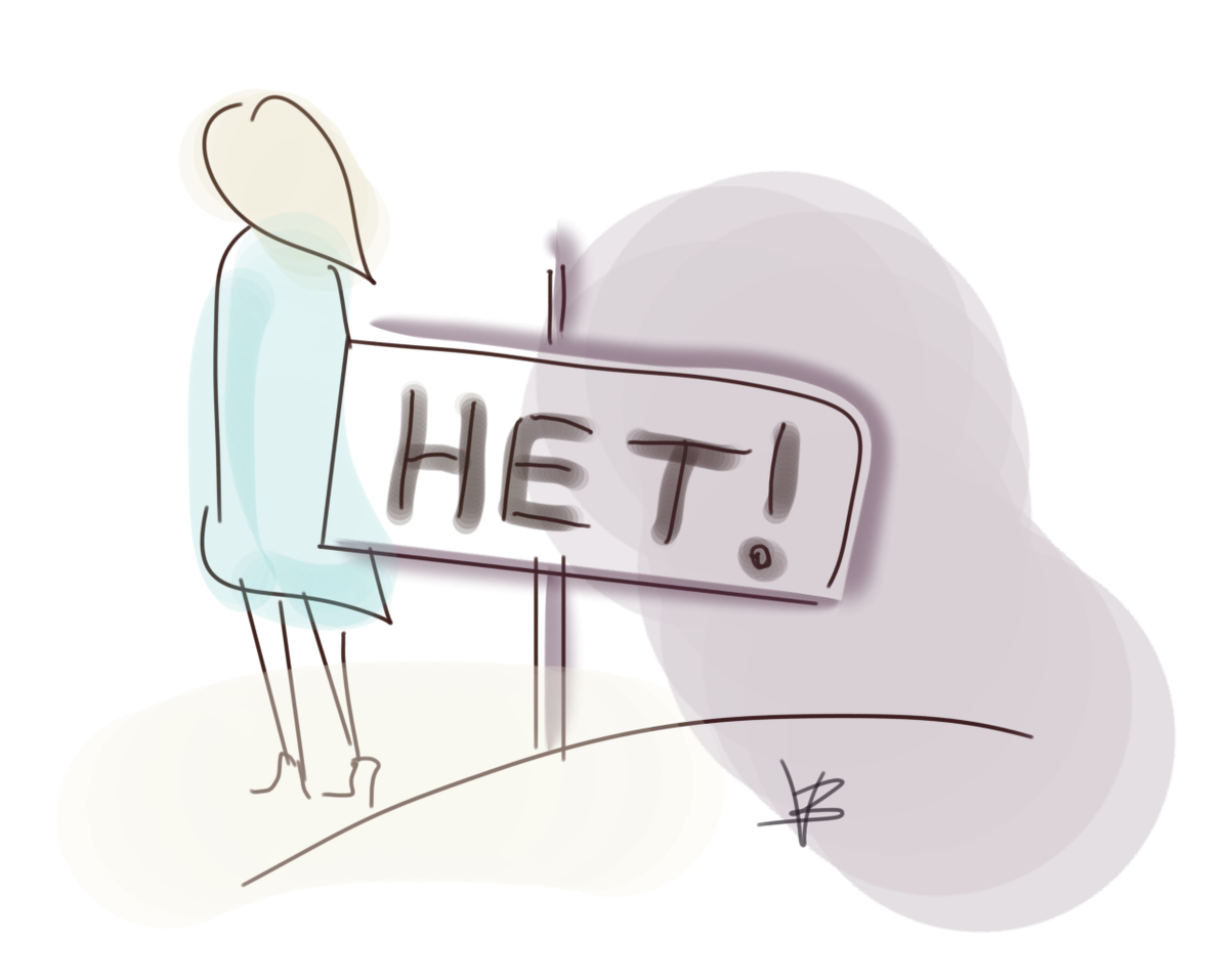 рисунок автора