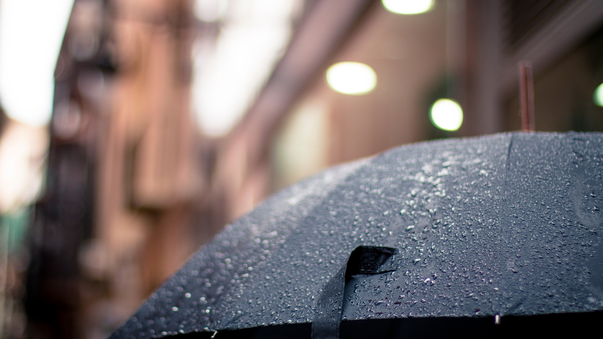 конечно же, подлинного фото того самого зонта за давностью лет не сохранилось, но я думаю вы и без фото знаете, как выглядит зонт-трость.