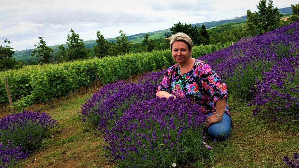 Смотреть на цветущую лаванду!