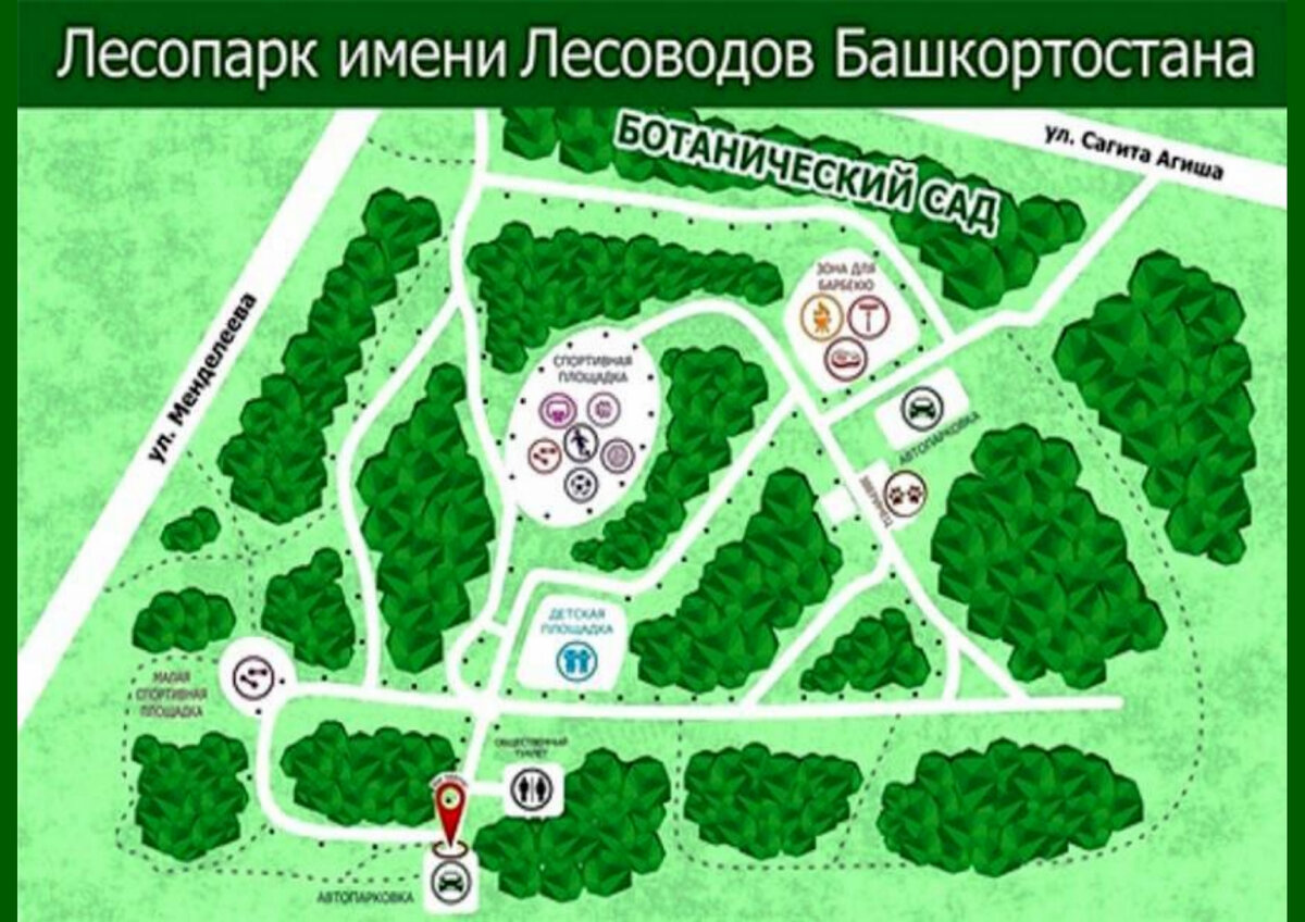 Карта парка лесоводов