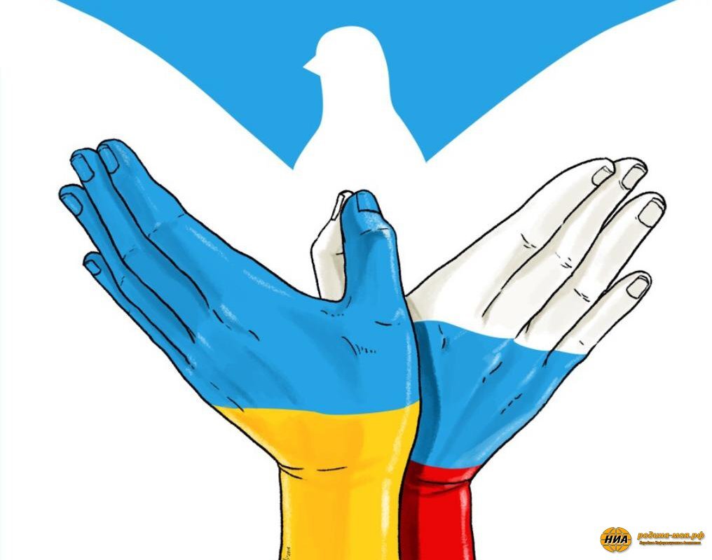 фото из сети