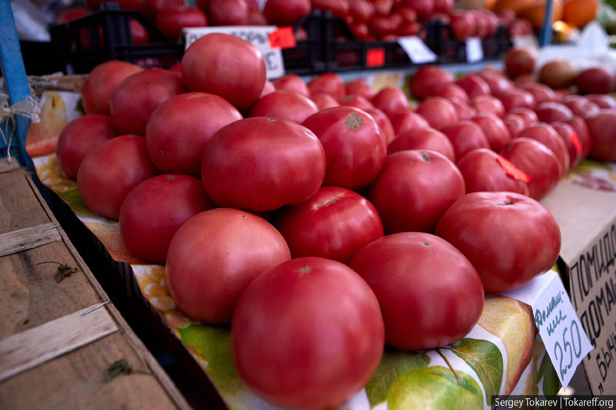 Минусинские помидо