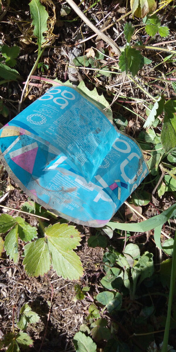 Фото автора в лесу. 