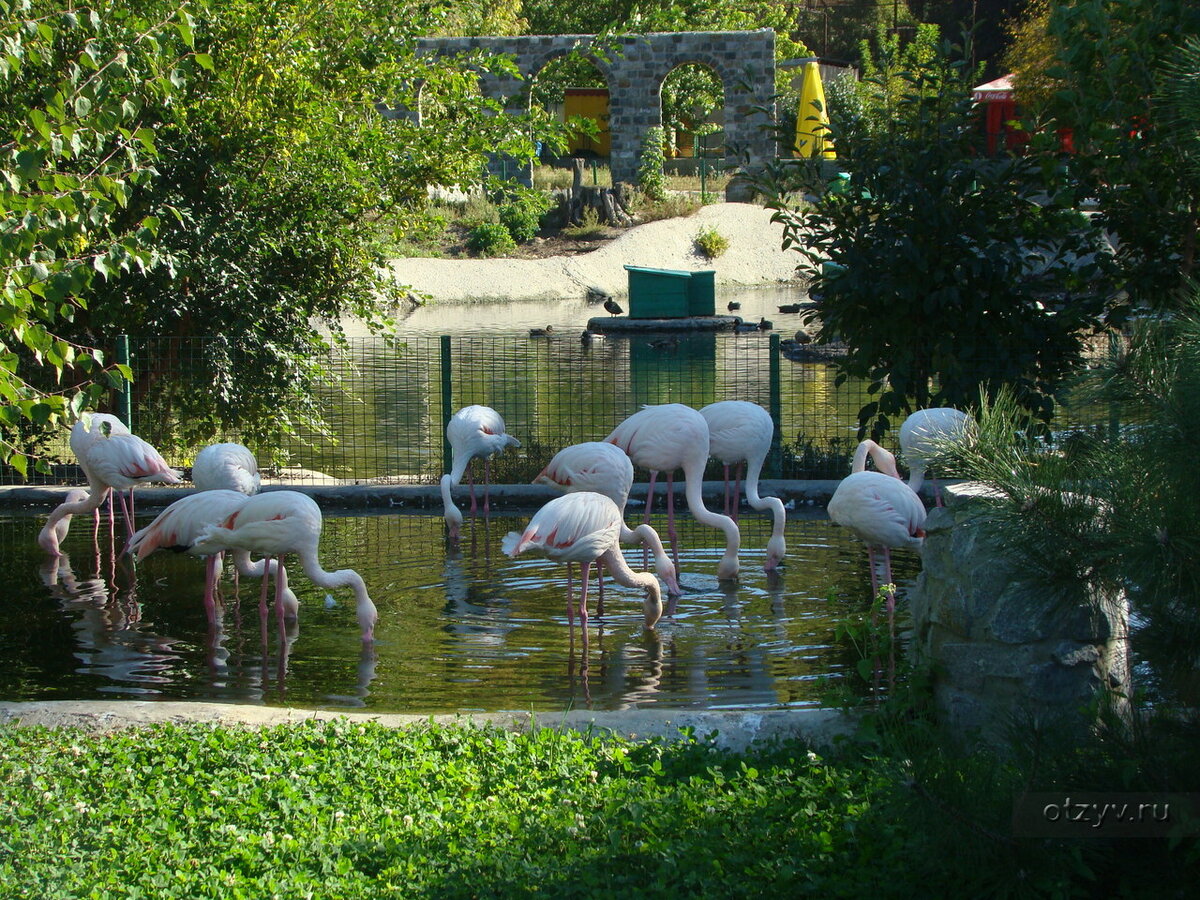 Парк фельдмана в харькове фото