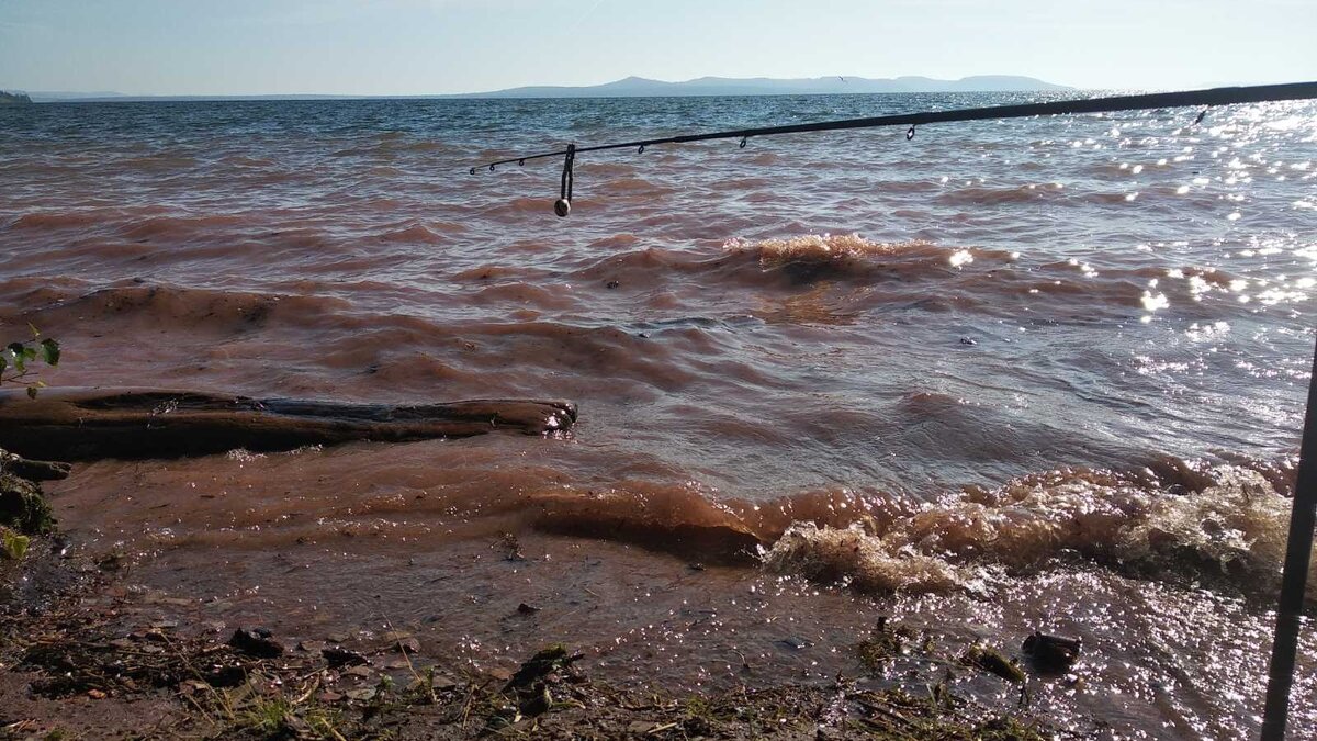 Сильная волна 