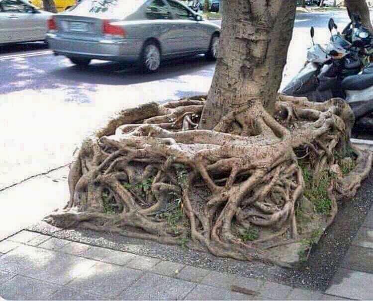 Кубические корни. Фото: https://twitter.com/anton290398?lang=tr