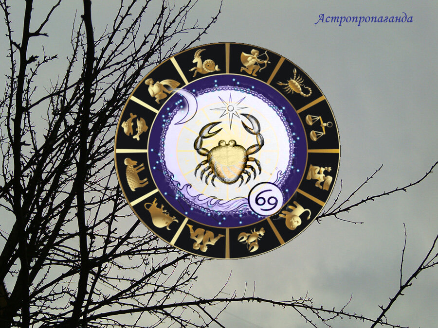 Коллаж Нины Стрелковой. 