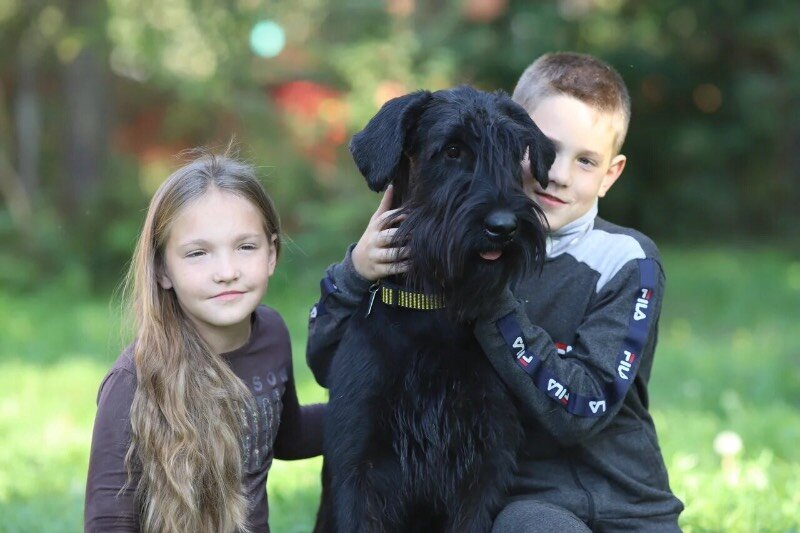 фото взято с сайта - print-koznuhovo.com. В качестве иллюстрации.