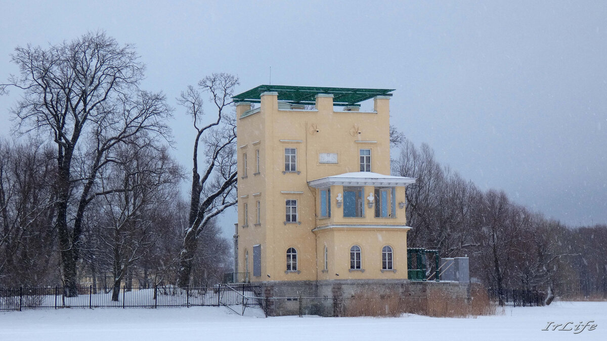 Зимний Петергоф. Колонистский парк. Ольгин пруд. | IrLife_Санкт-Петербург |  Дзен