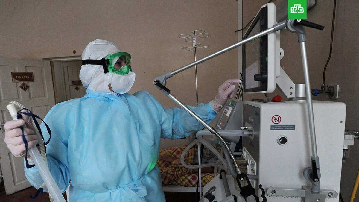    Фото: РИА Новости © 2022, Алексей Сухоруков